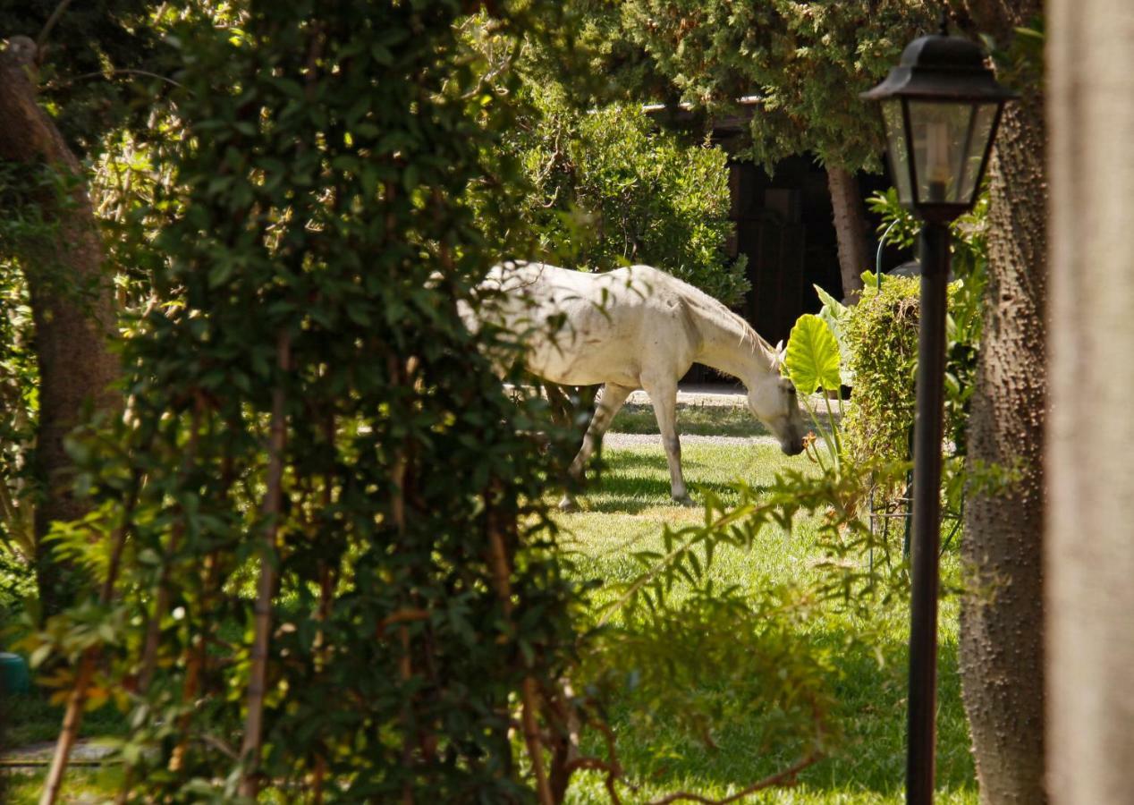 B&B La Villa Giardini-Naxos Exterior foto